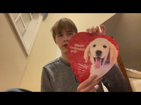 Whitman’s Sampler assorted milk and dark chocolates - Josh’s Food Review