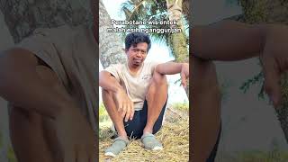 Download lagu kepriwe kie wa mp3 Download lagu kepriwe kie wa mp3