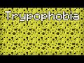 Types of Phobia Portrayed by Minecraft