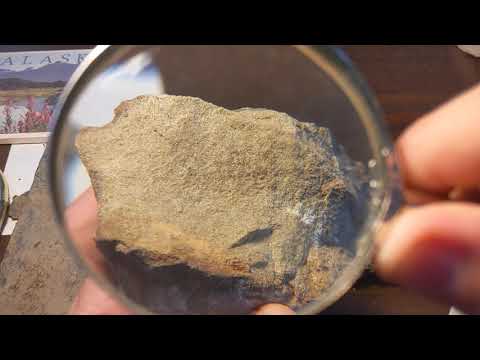 Sedimentary Rocks Lab: Conglomerate, Sandstone, Siltstone, Shale