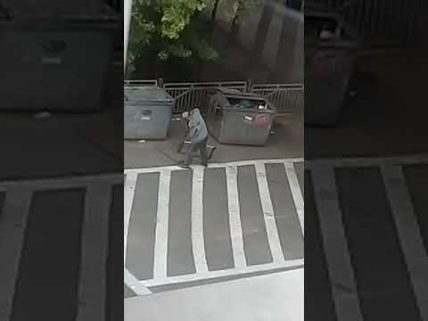 Pakier kurza łapa💪