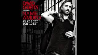 David Guetta Feat. Namie Amuro ‎– What I Did For Love