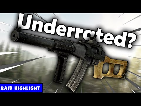 This VSS WIPED Customs - Tarkov Highlights