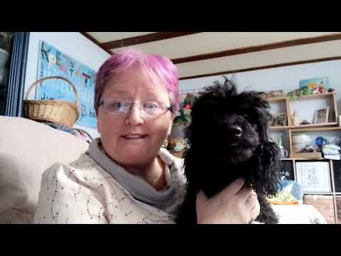 Multikreativ-Podcast #52 - Auf ein Neues....