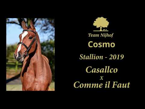 Cosmo