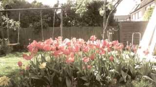 L.Wells by Franz Ferdinand- music video for Dan and Phil BBC Radio 1