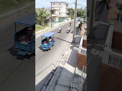 ¡LEO de CUBA 🇨🇺 La Habana Cuba 🇨🇺 (Calles) #cuba #calles