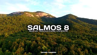 SALMOS 8 (narrado completo)NTV @reflexconvicentearcilalope5407 #biblia #salmos #cortos #parati