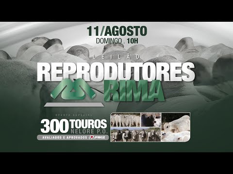 Lote 117 (RIMA A2999 / RIMA A3261)