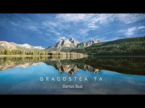 Dragostea Ta  - Darius Bud