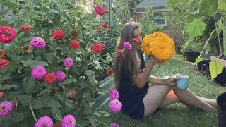 Download lagu Picking The Last Bouquet From The Summer Garden 🌻 Goldy Honey Bear Sunflower #SHORTS mp3 Download lagu Picking The Last Bouquet From The Summer Garden 🌻 Goldy Honey Bear Sunflower #SHORTS mp3