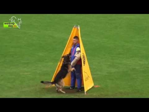 Kurt Zoterhof C disq WUSV 2014