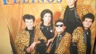 el buey de la barranca - LOS FELINOS