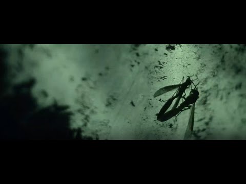 AFTERMOVIE - RITUAL XQUIZO - TRANSMUTAÇÃO MENTAL