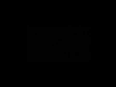 2011 new song kay one bushido fler und  metrickz müsst ihr hören;)