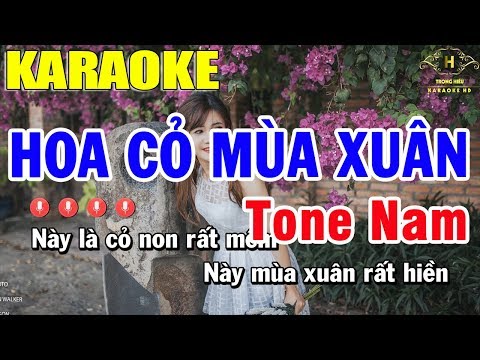Karaoke Hoa Cỏ Mùa Xuân Tone Nam Nhạc Sống | Trọng Hiếu