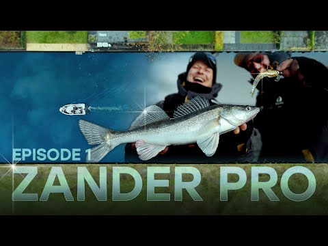 ZANDER PRO 5 - Episode 1