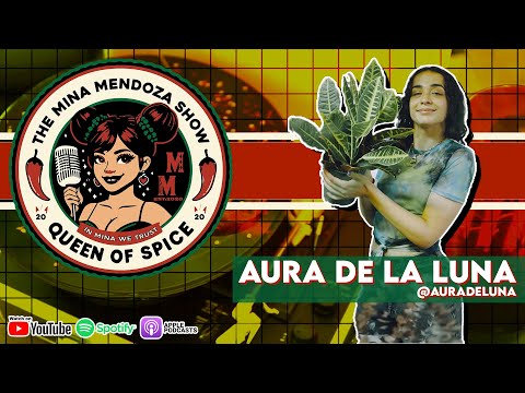 Lunar Grooves: Empowering Conversations with Aura de la Luna | The Mina Mendoza Show