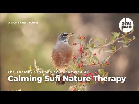 Calming Sufi Nature Therapy 