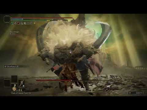 [Elden Ring] Let me solo them