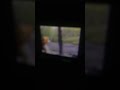 Sesame Street Episode 2090 Ending