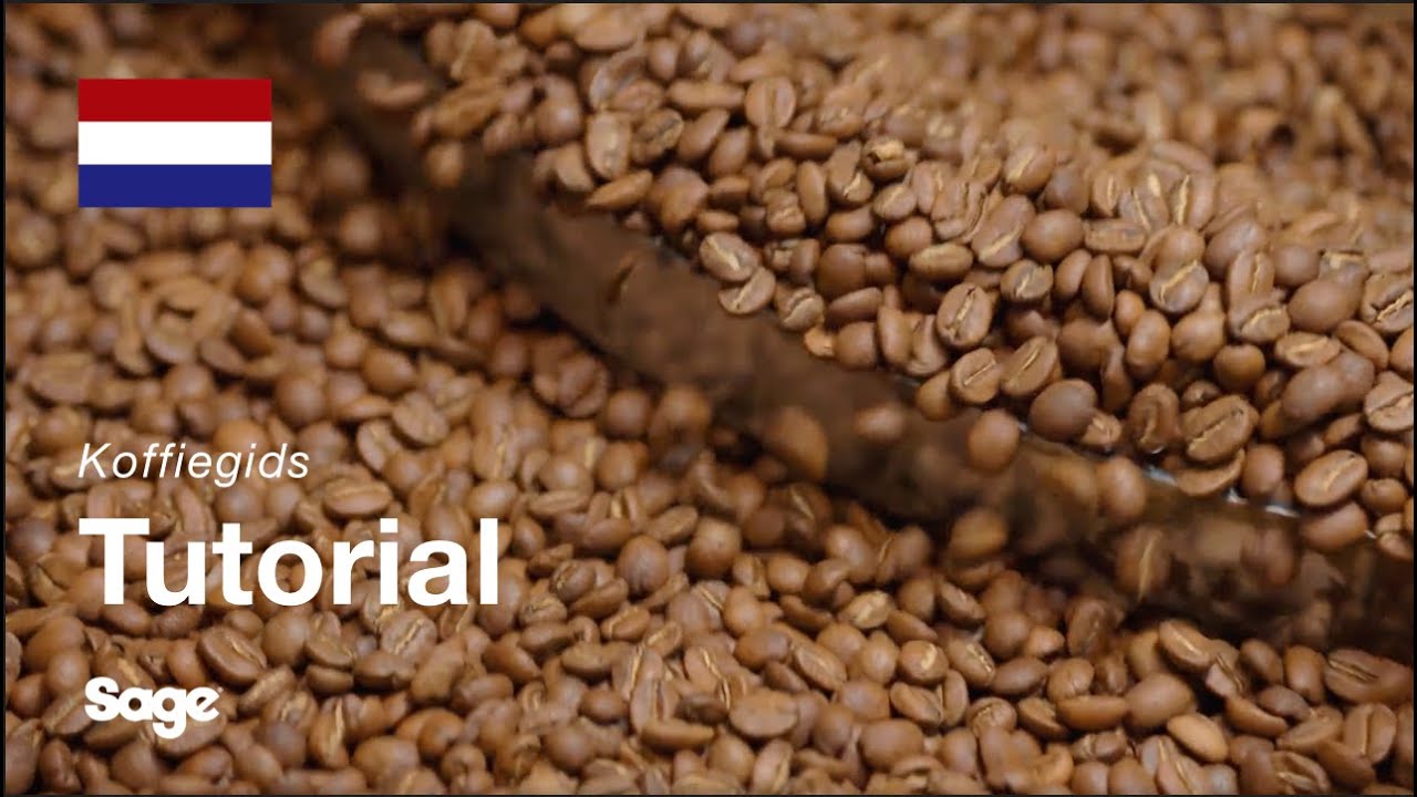 De juiste bonen kiezen