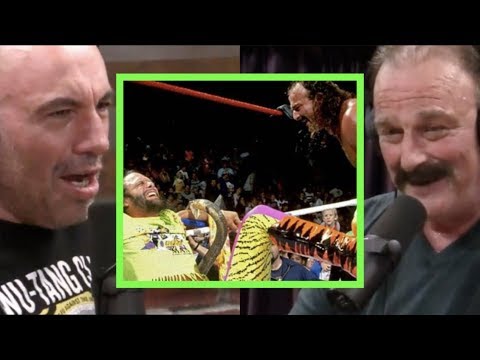 Joe Rogan - Jake "The Snake" Roberts on Unleashing a Cobra on Macho Man