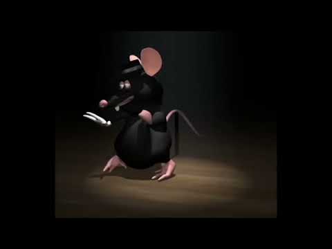Rato Preto Dançando