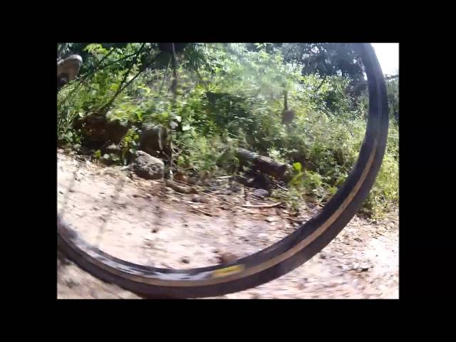 vintage motorized bicycle for sale