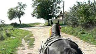 preview picture of video 'Uncle Nicu's horse carriage (caruta) in Galicea Mare'