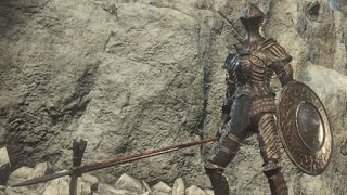 【ダクソ2】虚ろの衛兵vs完全初見の俺