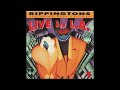 🎧 Rippingtons Featuring Russ Freeman - One Summer Night in Brazil (Live)