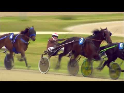 Bayern-Pokal – Wallach Winnetou Diamant gewinnt Saisonhöhepunkt auf der Trabrennbahn München-Dag