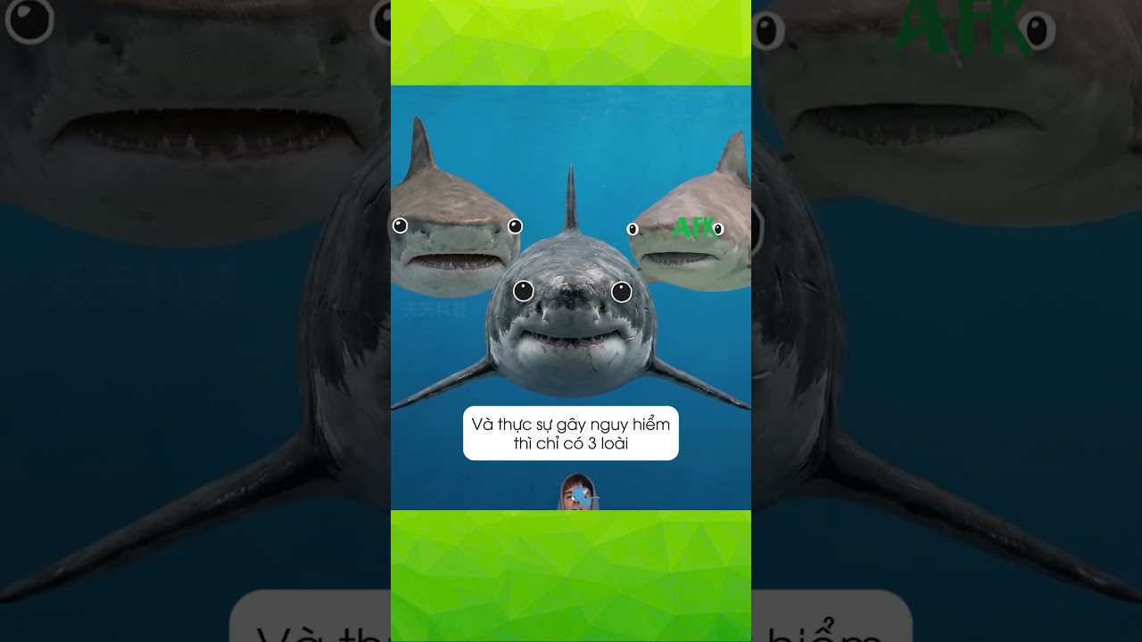 Sự thật về cá mập
