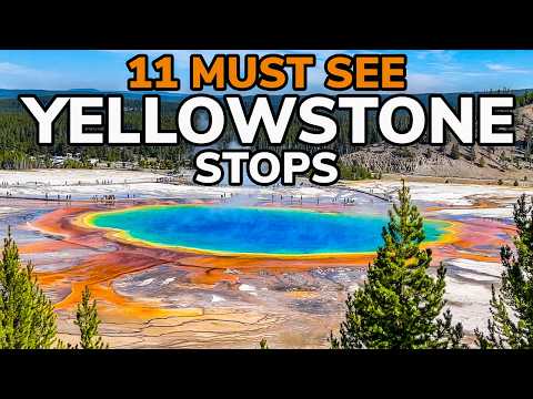 11 MUST SEE Stops in Yellowstone National Park!