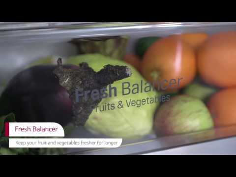 Discover the LG GBB60PZGFB Fridge Freezer