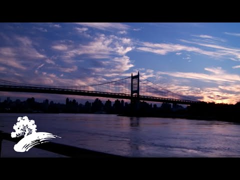 Green Hill Music - Saluting Sinatra [Jazz Visualizer]