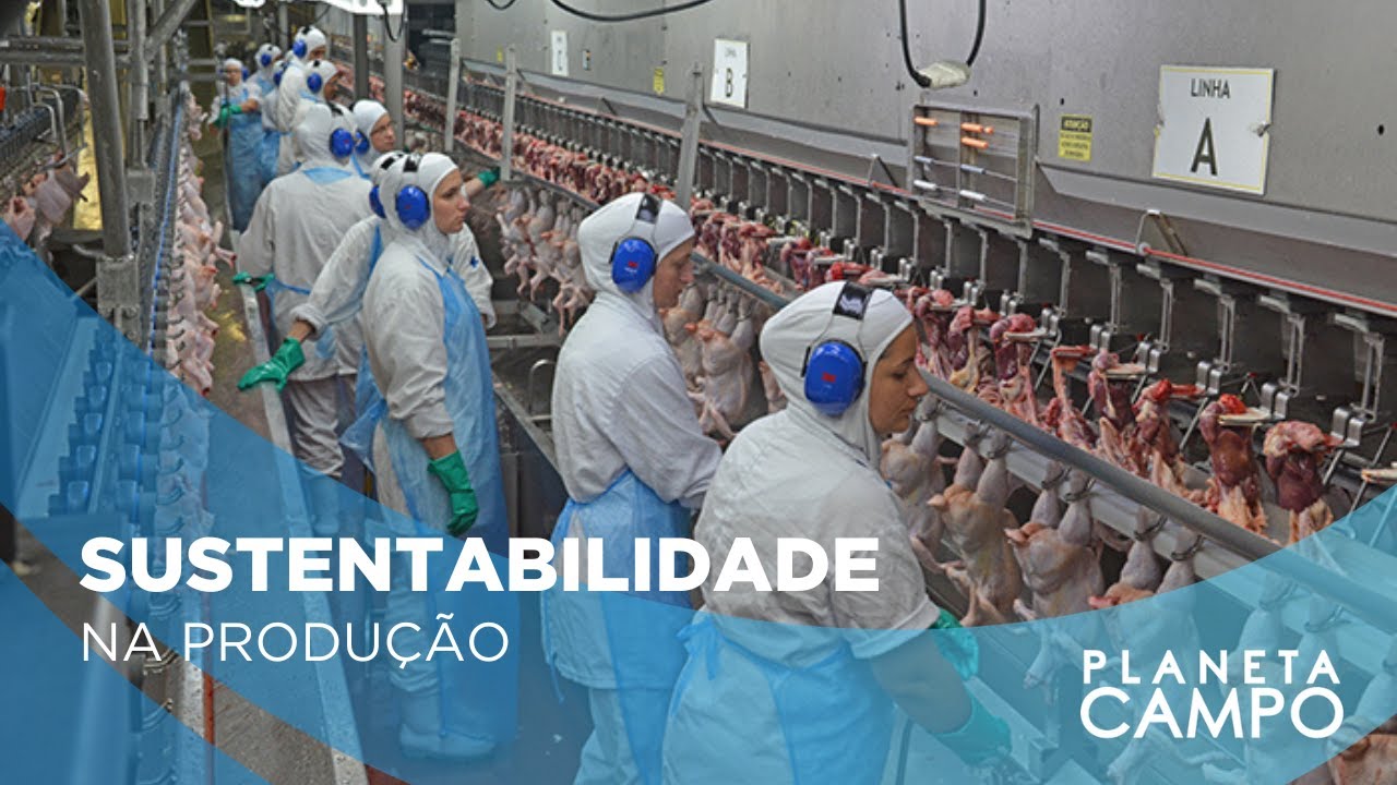 China habilita 38 frigoríficos do Brasil para exportação de carne | Planeta Campo