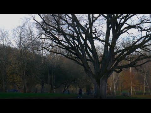 Das Monster von Balzheim   Intermezzo