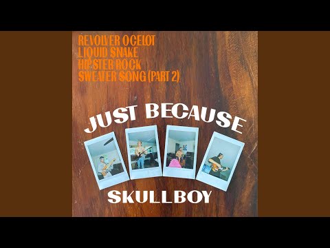 Hipster Rock - Skullbøy the band
