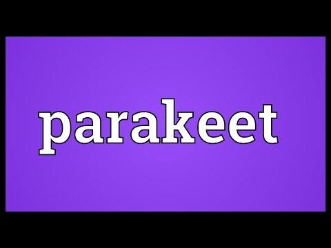 Parakeet Meaning