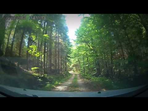 Hylses Blekingeturné - SKOGAR söder om BLANKSJÖN (Bräkne-Hoby) - 180822 (Kaiser Baas)