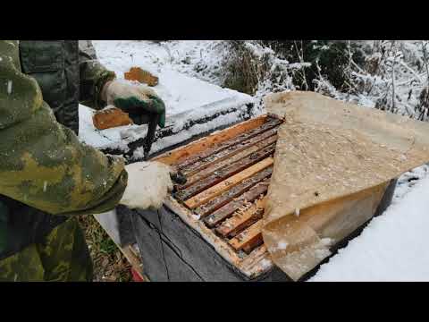 Пчеловодство.Начало зимовки. Сокращение гнезда отбор и хранение лишних медовых рамок в хранилище.