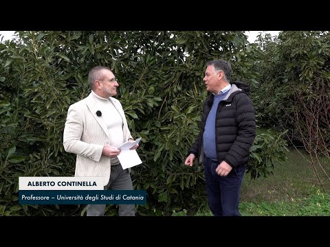 video media thumbnail