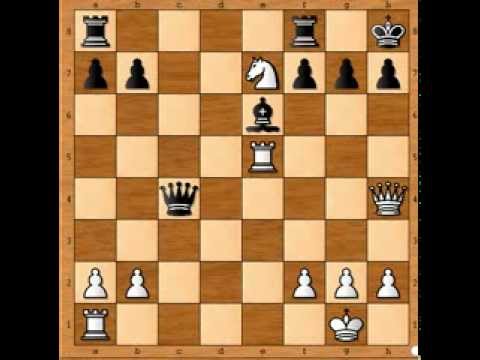 Šahovski problem # 15 Czempiel vs Nowak - beli igra i matira