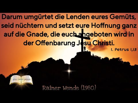 Anfechtung. Nicht unterliegen sondern überwinden - Rainer Wende (1980)