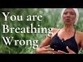 Somatic Breathwork For Beginners Belly Breathing To Calm The Nervous System