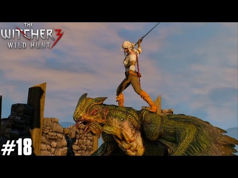 The Witcher 3 Wild Hunt (PS4) Walkthrough Part 18