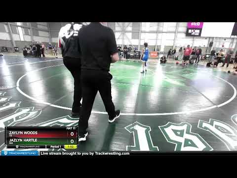 100 Lbs Semifinal - Zaylyn Woods, TX Vs Jazlyn Hartle, WA 2722