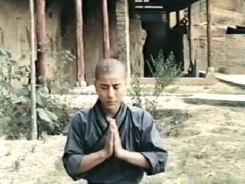 Chop-Sucky: Bad Kung Fu Dubs - Shaolin Brothers